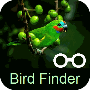 Where to find birds in Australia icon