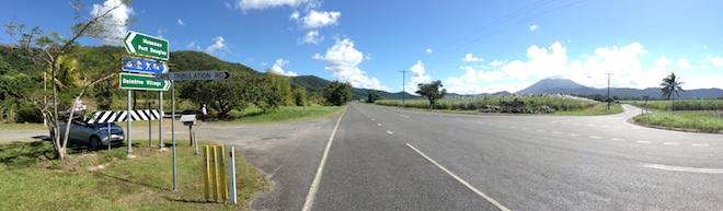 Daintree
