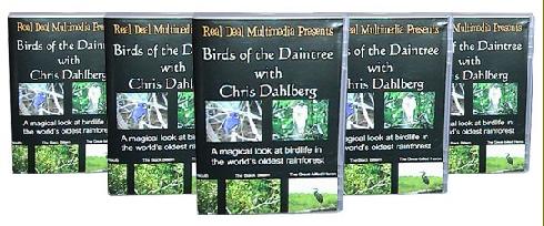 Birds of the Daintree banner ad.