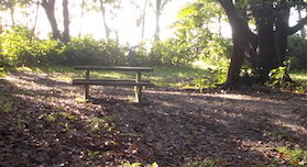 picnic table