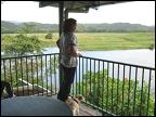 Overlooking the Daintree River from the verandah at Daintree Riverview Lodge.