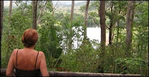 Lookout on Daintree Village walk.