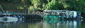 Daintree Jetty