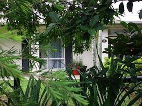 Beachside house for sale